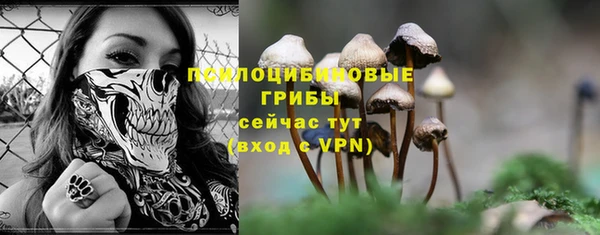 мдпв Богородицк