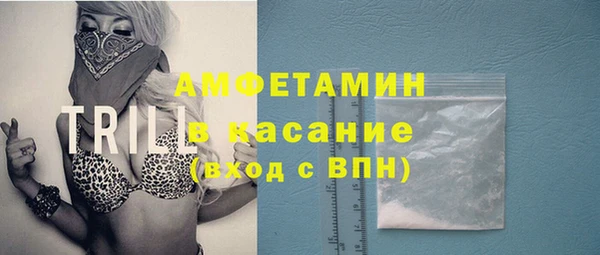 мдпв Богородицк