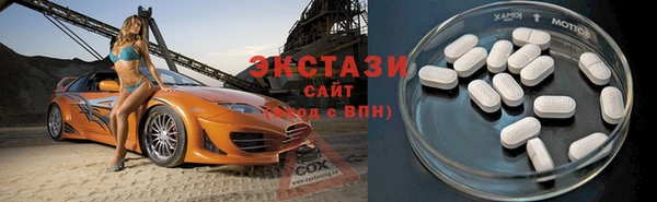 мдпв Богородицк