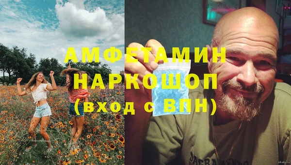 мдпв Богородицк
