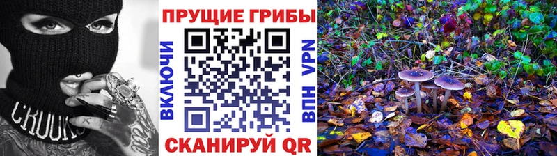 Псилоцибиновые грибы мухоморы  Дно 